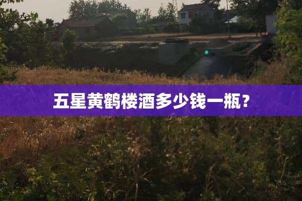 五星黄鹤楼酒多少钱一瓶？