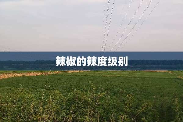 辣椒的辣度级别
