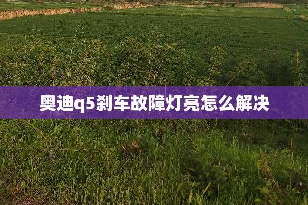 奥迪q5刹车故障灯亮怎么解决