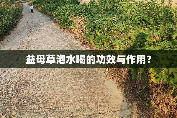 益母草泡水喝的功效与作用？