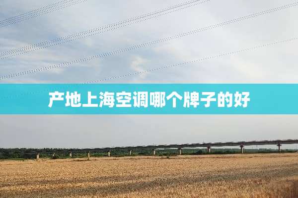 产地上海空调哪个牌子的好