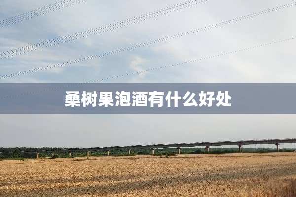 桑树果泡酒有什么好处