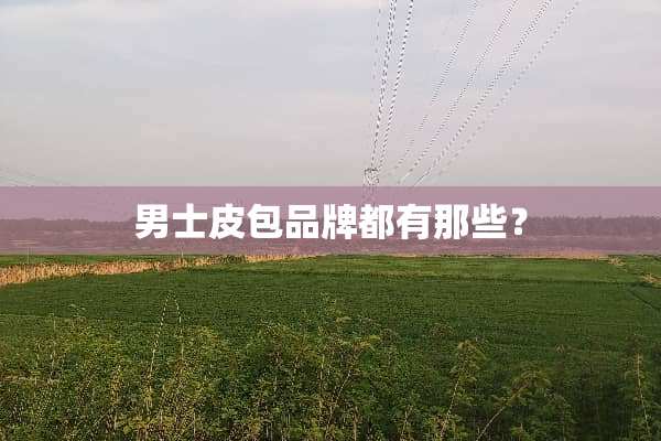 男士皮包品牌都有那些？