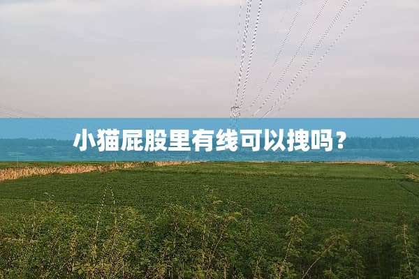 小猫屁股里有线可以拽吗？