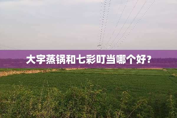 大宇蒸锅和七彩叮当哪个好？