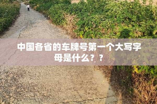 中国各省的***第一个大写字母是什么？？