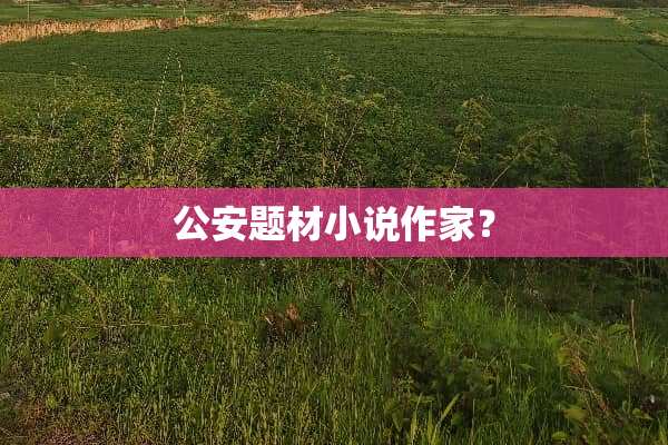 **题材小说作家？