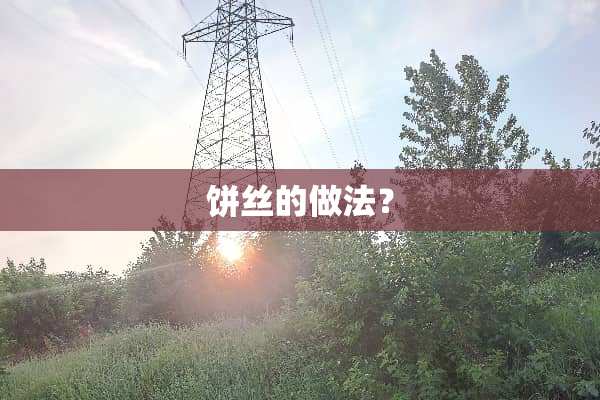 饼丝的做法？