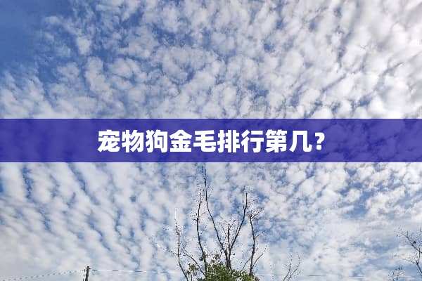 宠物狗金毛排行第几？
