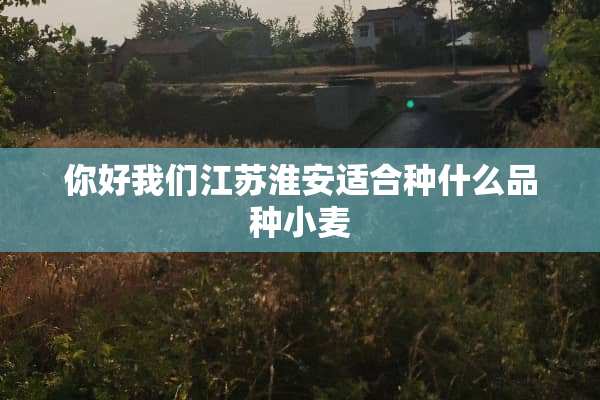 你好我们江苏淮安适合种什么品种小麦