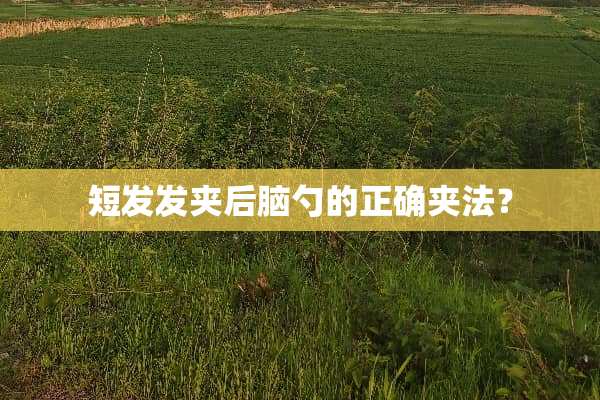 短发发夹后脑勺的正确夹法？