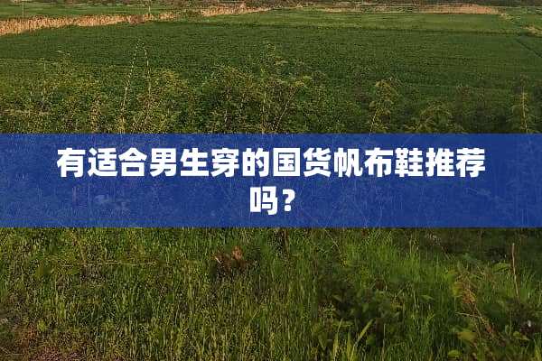 有适合男生穿的国货帆布鞋推荐吗？