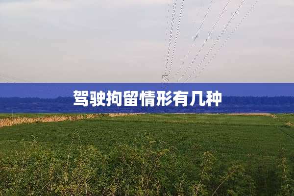 驾驶拘留情形有几种