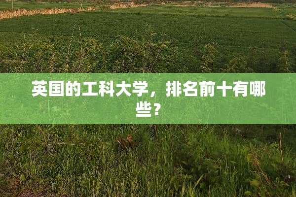 英国的工科大学，排名前十有哪些？