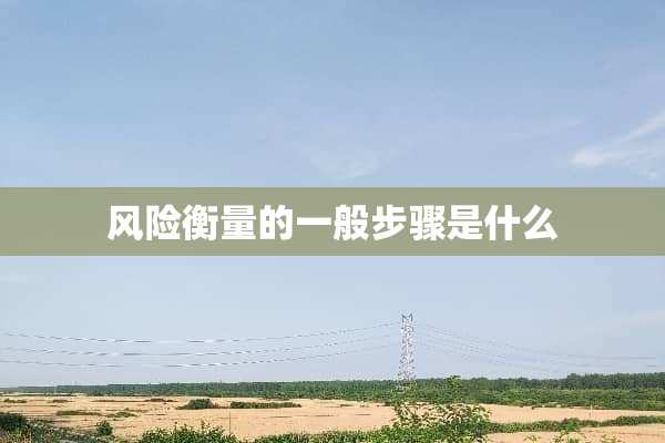 风险衡量的一般步骤是什么
