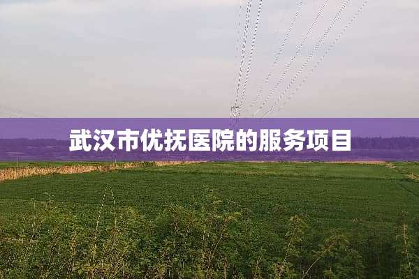 武汉市优抚医院的服务项目