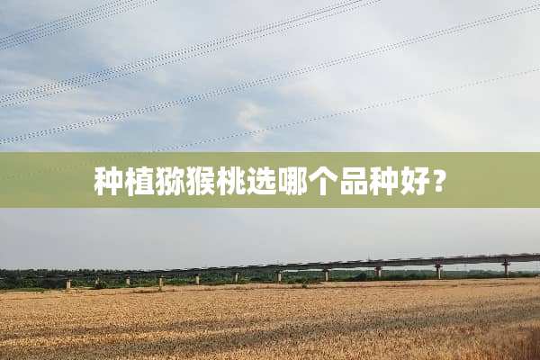种植猕猴桃选哪个品种好？