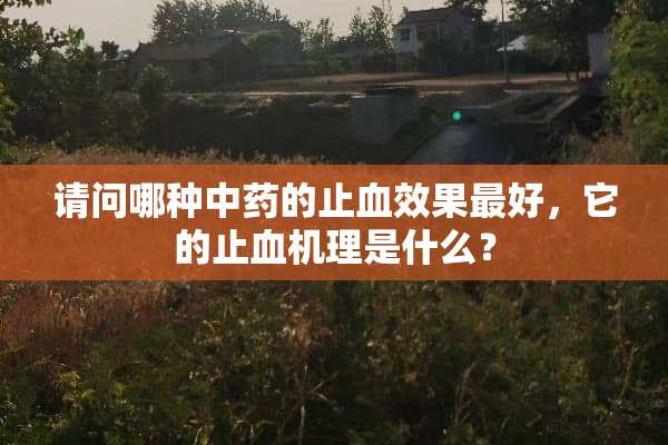 请问哪种中药的止血效果最好，它的止血机理是什么？