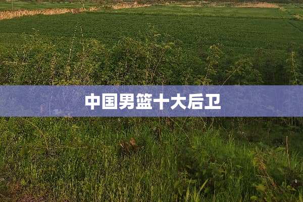 中国男篮十大后卫