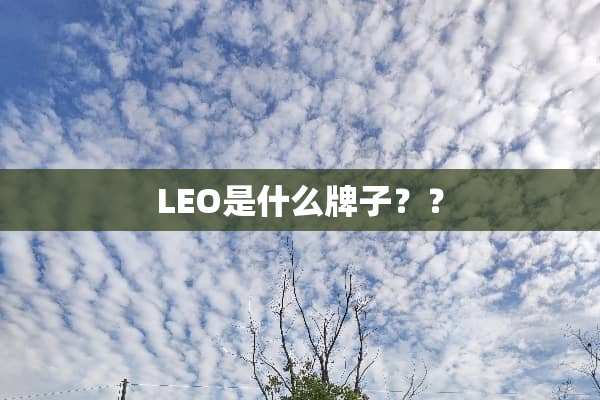 LEO是什么牌子？？
