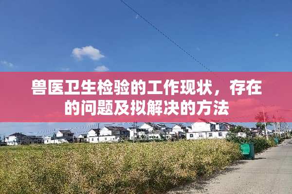 兽医卫生检验的工作现状，存在的问题及拟解决的方法