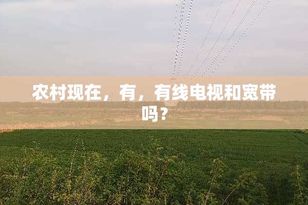 农村现在，有，有线电视和宽带吗？