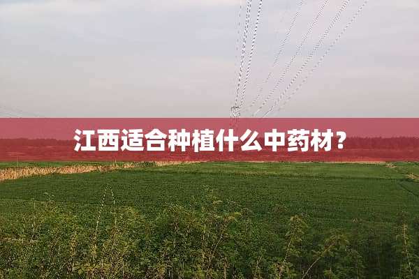 江西适合种植什么中药材？