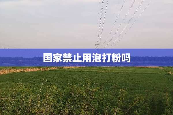国家禁止用泡打粉吗