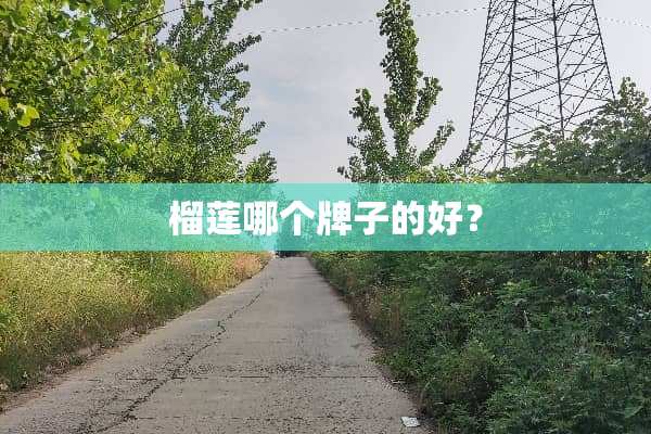 榴莲哪个牌子的好？