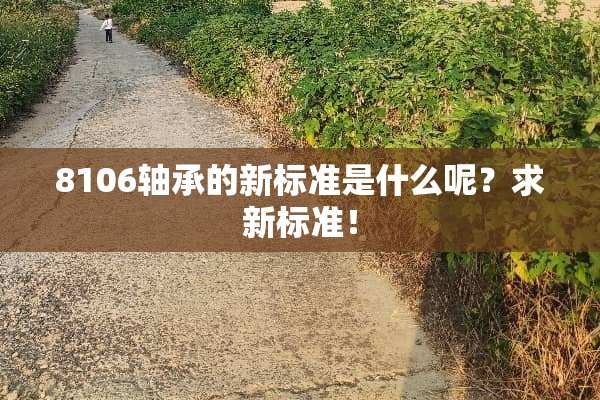 8106轴承的新标准是什么呢？求新标准！