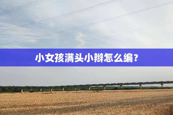 小女孩满头小辫怎么编？