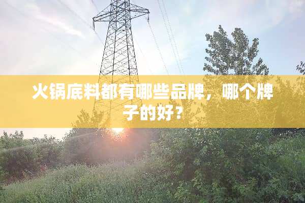 火锅底料都有哪些品牌，哪个牌子的好？
