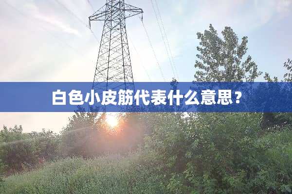 白色小皮筋代表什么意思？