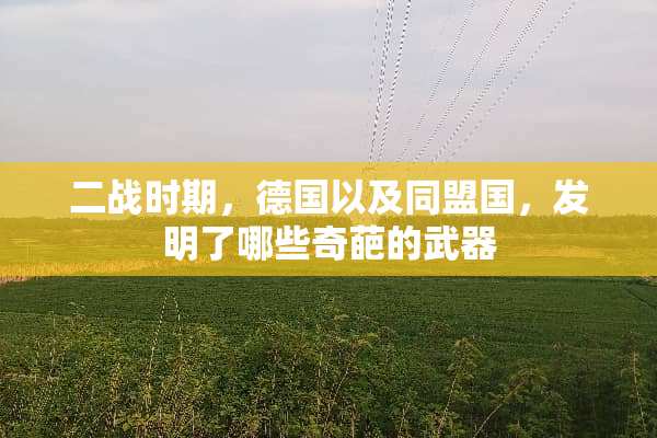 二战时期，德国以及同盟国，发明了哪些奇葩的**