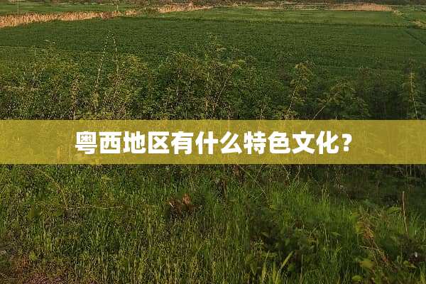 粤西地区有什么特色文化？