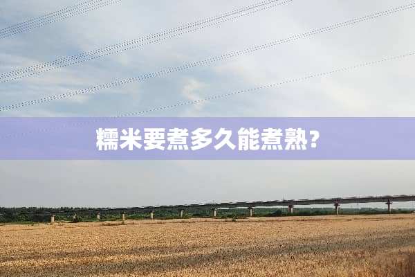 糯米要煮多久能煮熟？