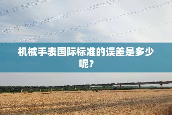 机械手表国际标准的误差是多少呢？