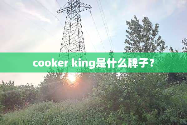 cooker king是什么牌子？