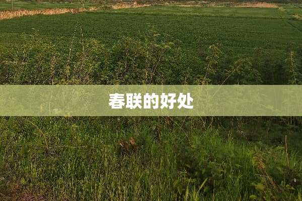 春联的好处
