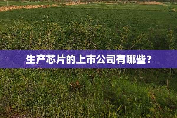 生产芯片的上市公司有哪些？