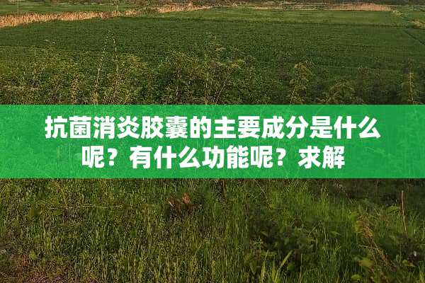 抗菌消炎胶囊的主要成分是什么呢？有什么功能呢？求解