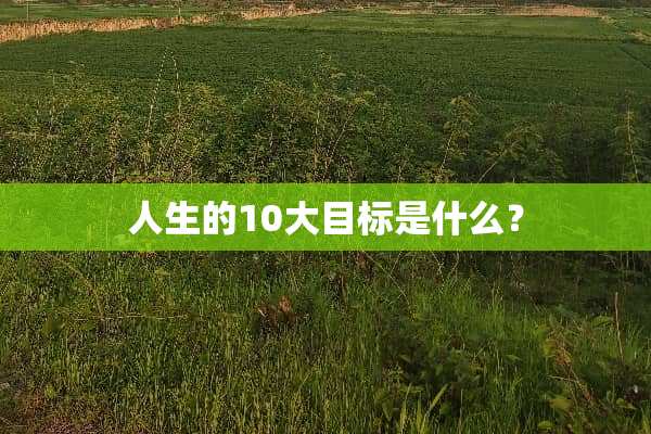 人生的10大目标是什么？