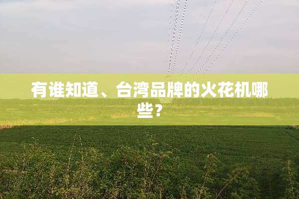 有谁知道、台湾品牌的火花机哪些？
