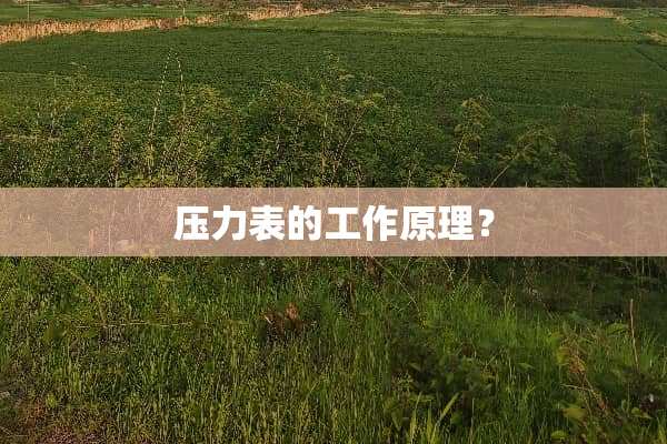压力表的工作原理？