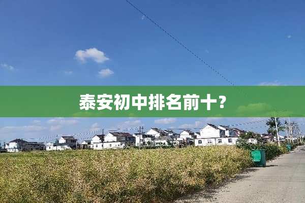 **初中排名前十？