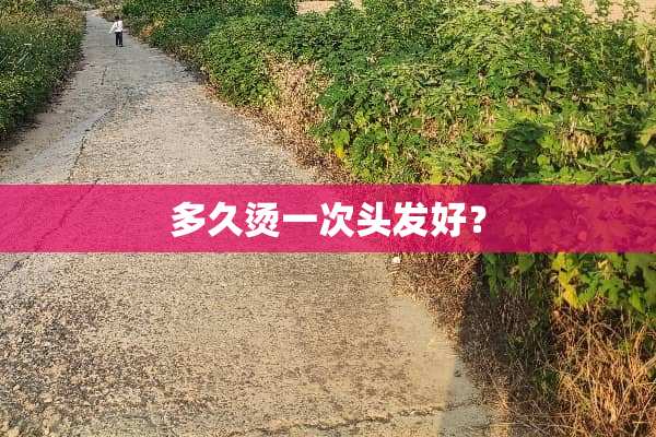 多久烫一次头发好？