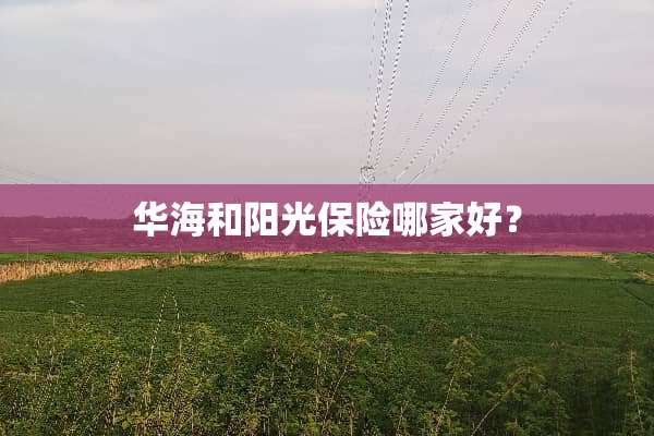 华海和阳光保险哪家好？