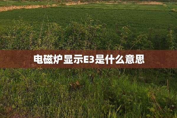 电磁炉显示E3是什么意思