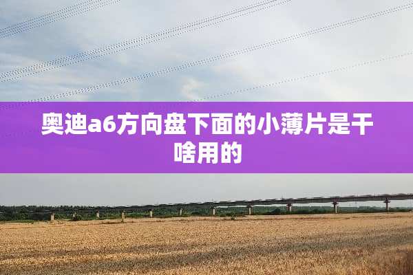 奥迪a6方向盘下面的小薄片是干啥用的