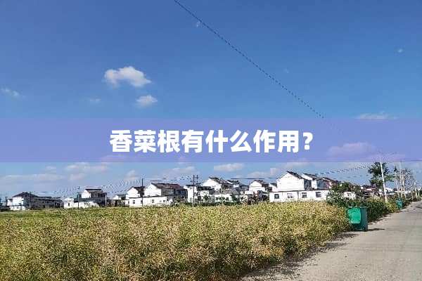 香菜根有什么作用？